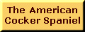 button-the american cocker spaniel.gif (1900 bytes)