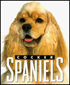 cocker spaniels2.gif (10961 bytes)